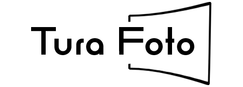 Alternative Text