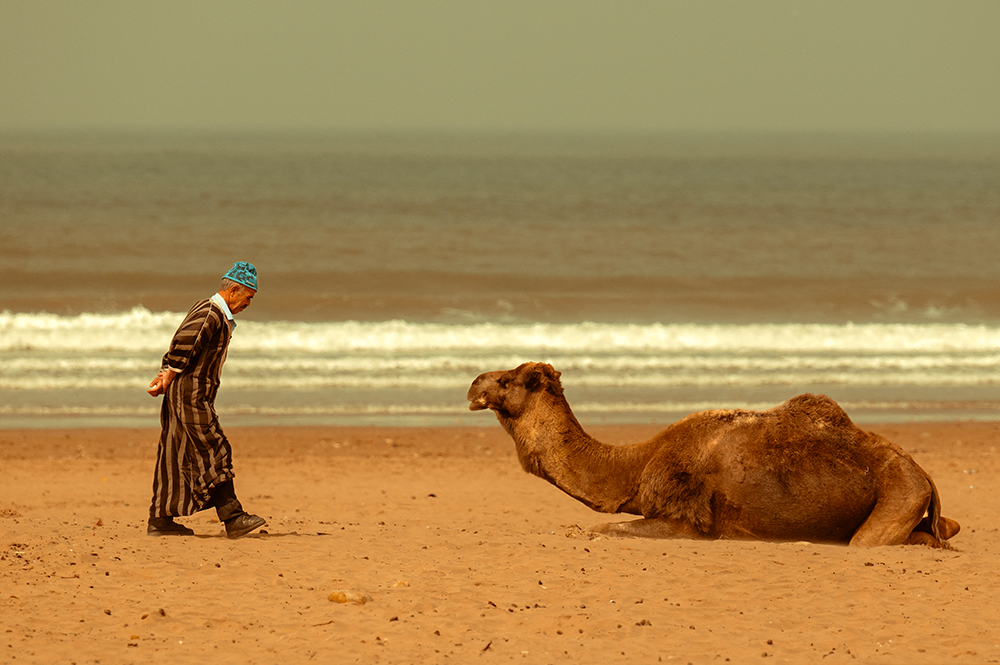 Maroc 2025 cu Gina Buliga