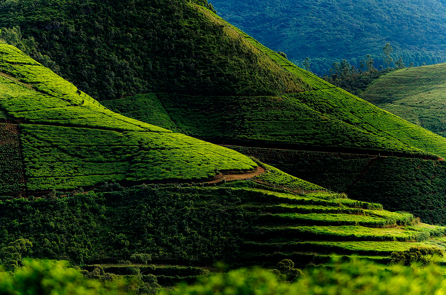 Tura foto Sri Lanka - Gina Buliga