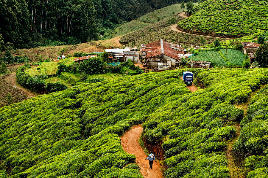 Tura foto Sri Lanka - Gina Buliga